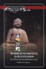 Buddhas Neuronetz zur Levitation