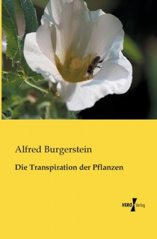 Transpiration der Pflanzen