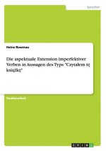 aspektuale Extension imperfektiver Verben in Aussagen des Typs Czytalem tę książkę