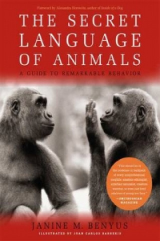 Secret Language Of Animals