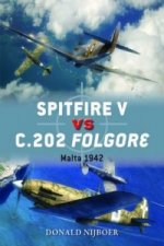 Spitfire V vs C.202 Folgore