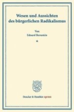 Wesen und Aussichten des bürgerlichen Radikalismus.