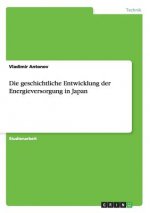 Die geschichtliche Entwicklung der Energieversorgung in Japan