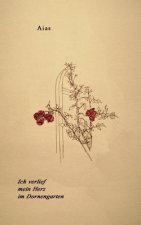 Ich verlief mein Herz im Dornengarten