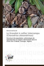 Le Gravelot A Collier Interrompu (Charadrius Alexandrinus)
