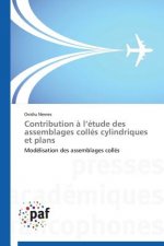Contribution A L Etude Des Assemblages Colles Cylindriques Et Plans