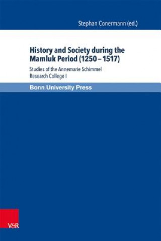 History and Society during the Mamluk Period (1250 - 1517)