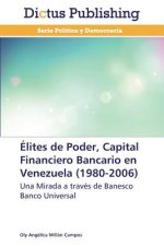 Elites de Poder, Capital Financiero Bancario en Venezuela (1980-2006)