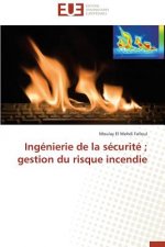 Ingenierie de la securite gestion du risque incendie