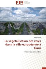 V g talisation Des Voies Dans La Ville Europ enne   Tunis