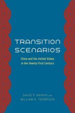 Transition Scenarios