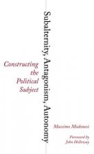 Subalternity, Antagonism, Autonomy