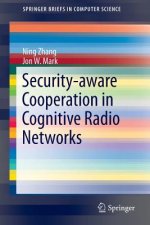 Security-aware Cooperation in Cognitive Radio Networks, 1
