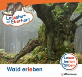 Wald erleben