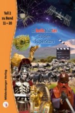 Arbeitsblatter zu den Superstars - Teil 2 (Band 11-20)