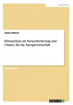 Klimaschutz ALS Herausforderung Und Chance F r Die Energiewirtschaft