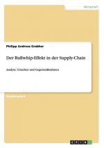 Der Bullwhip-Effekt in der Supply-Chain