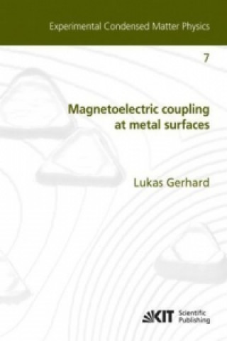 Magnetoelectric coupling at metal surfaces