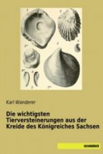 Die wichtigsten Tierversteinerungen aus der Kreide des Königreiches Sachsen