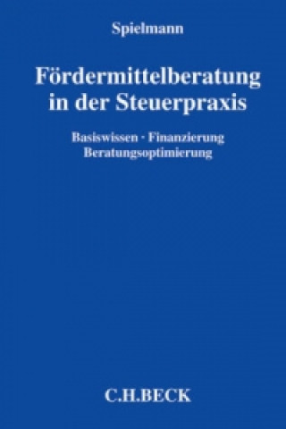 Förderberatung in der Steuerpraxis