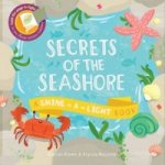 Secrets of the Seashore