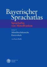 Sprachatlas von Mittelfranken (SMF), m. CD-ROM. Bd.3