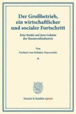 Der Großbetrieb, ein wirtschaftlicher und socialer Fortschritt.