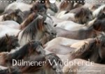Dülmener Wildpferde - Gefährdete Nutztierrasse (Wandkalender immerwährend DIN A4 quer)