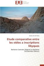 Etude Comparative Entre Les St les a Inscriptions Libyques