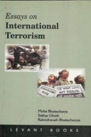 Essays on International Terrorism