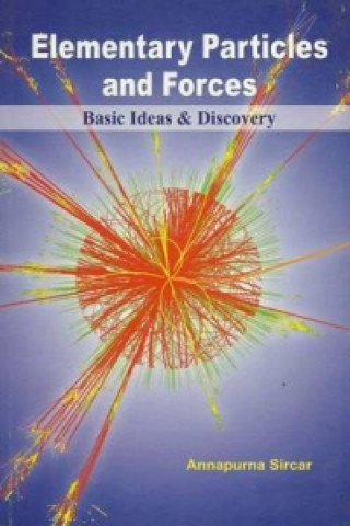 Elementary Particles and Forces Basic Ideas & Discovery