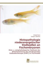 Histopathologie niederenergetischer Stosswellen an Fischembryonen