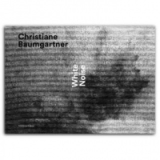 CHRISTIANE BAUMGARTNER WHITE NOISE