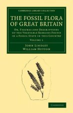 Fossil Flora of Great Britain