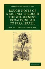 Rough Notes of a Journey through the Wilderness, from Trinidad to Para, Brazil