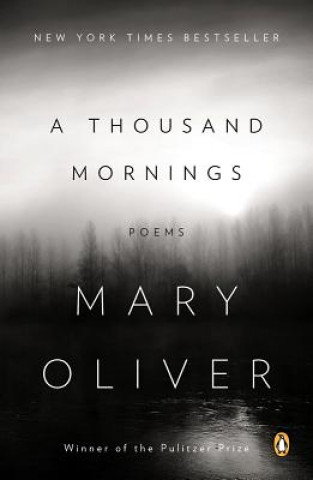 Thousand Mornings