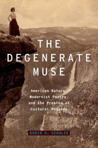 Degenerate Muse