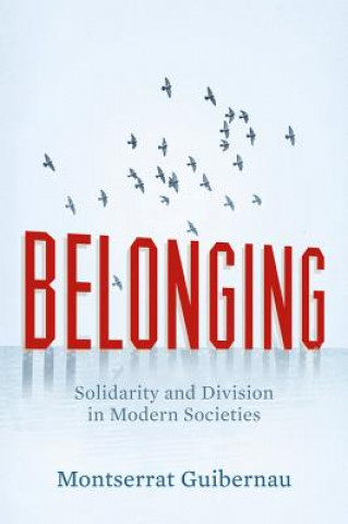 Belonging - Solidarity and Division in Modern Societies