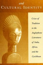 Colonialism and Cultural Identity