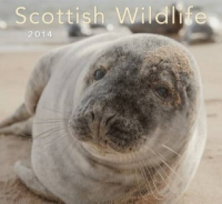 Scottish Wildlife 2014 Calendar