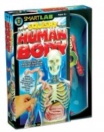 Smart Lab Squishy Human Body