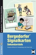 Bergedorfer Signalkarten - Sekundarstufe, m. 1 CD-ROM