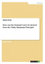How can the Demand Curve be derived from the Utility Maximum Principle?