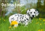 Dalmatiner - Ein immerwährender Geburtstags-Kalender (Tischkalender immerwährend DIN A5 quer)