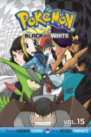 Pokemon Black and White, Vol. 15