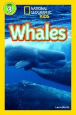 National Geographic Kids Readers: Whales