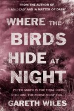 Where the Birds Hide at Night