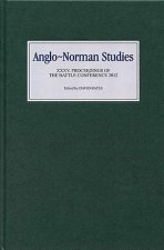 Anglo-Norman Studies