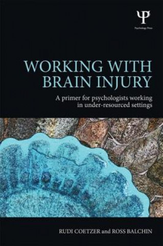 Working with Brain Injury