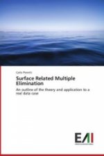 Surface Related Multiple Elimination